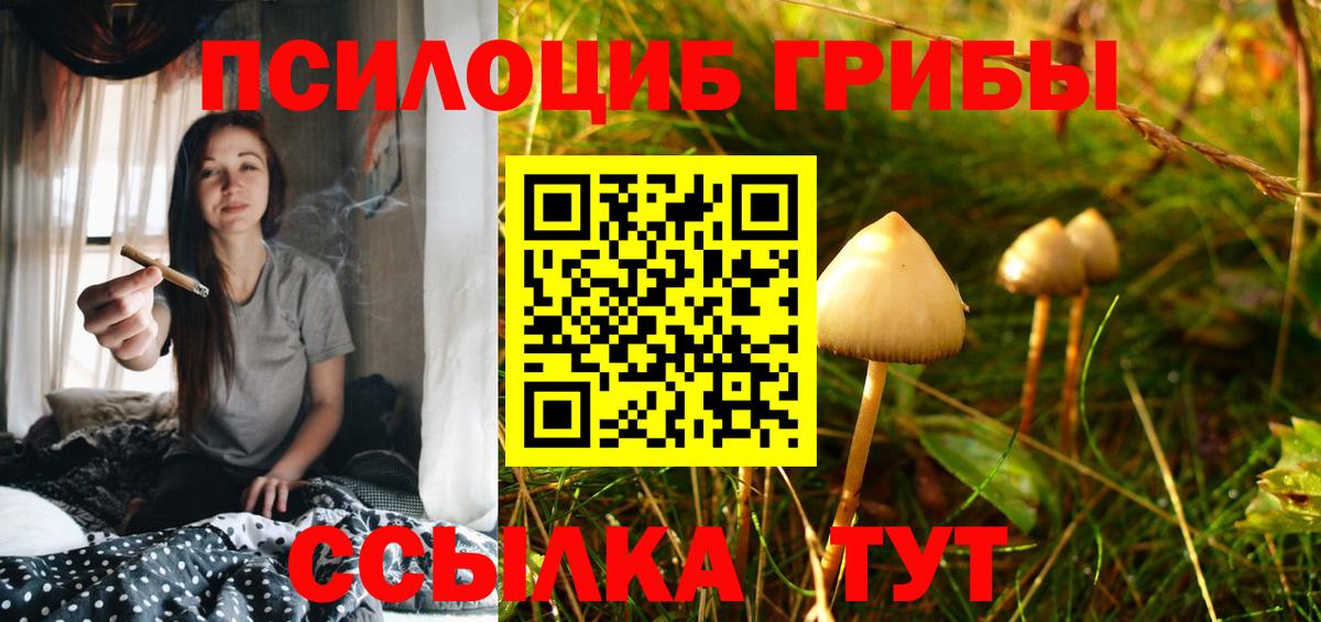 Светлоград  даркнет сайт  Вход с VPN  Псилоцибиновые грибы Psilocybe 